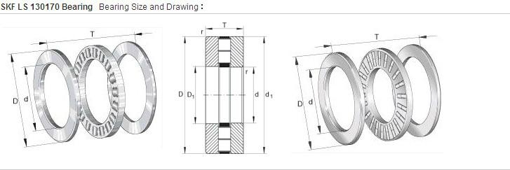 SKF LS 130170 bearing