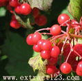 Cranberry extract