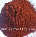 Danshen Extract 2