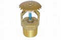 Fire sprinkler 1