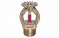 Fire sprinkler 1