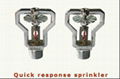 Fire sprinkler ESFR