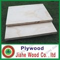 AA/BB grade eucalyptus plywood for furniture from JIAHE manufacturer  2