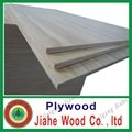 AA/BB grade eucalyptus plywood for furniture from JIAHE manufacturer  3