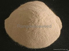  _textile alginate for sale