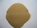  _textile alginate for sale 4