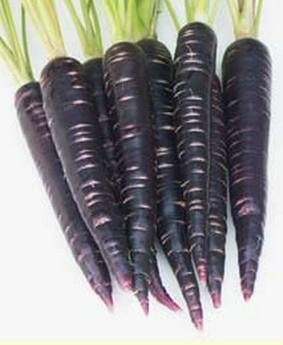 Black carrot color