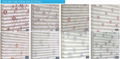 Custom Finished Printing Shangrila Blinds  2