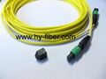 MPO SM female 1M patch cord 