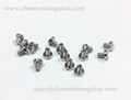 Precision stainless steel CNC turned eyewear screw