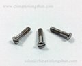 Stainless steel CNC precision eyewear hinge screw 1