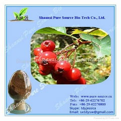 Howthorn Leaf Extract