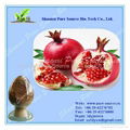 Pomegranate Extract