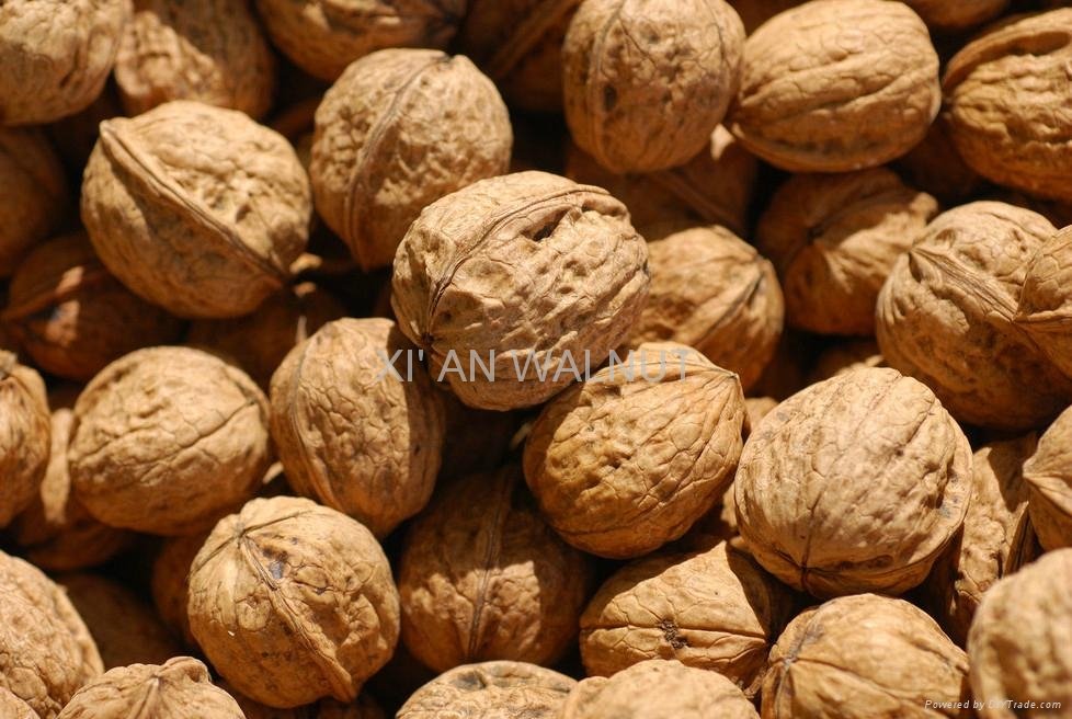 new organic walnuts
