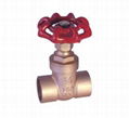 Gate valve