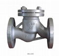 Check valve