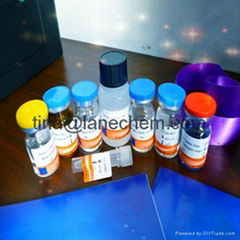 Rat lipoprotein-associated phospholipase A2 (Lp-PLA2) ELISA Kit 