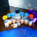 Canine CD5 antigen-like(CD5L)ELISA Kit 1