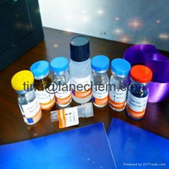 Canine CD5 antigen-like(CD5L)ELISA Kit