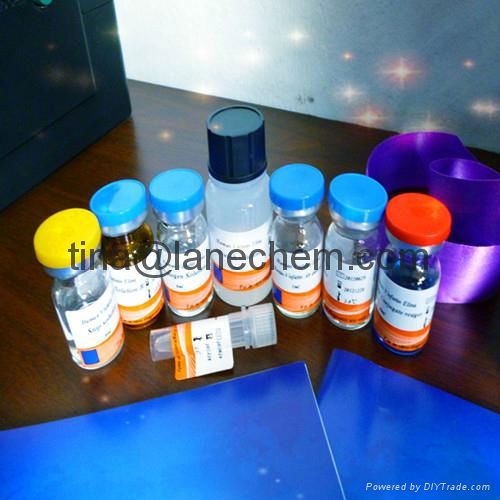 Canine Vitronectin(VNR)ELISA Kit