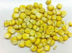 Freeze dried sweet corn whole