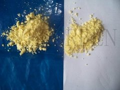 Freeze dried sweet corn powder