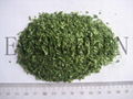 freeze dried parsley 1