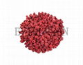 Freeze dried Raspberry 1