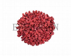 Freeze dried Raspberry