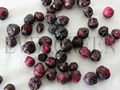 Freeze dried blueberry whole