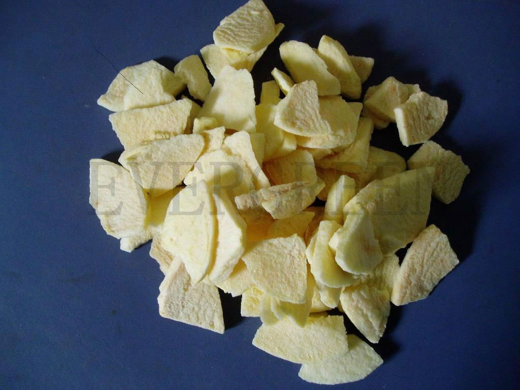 Freeze dried apple dice 2