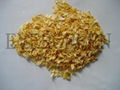 Dried onion slice 2