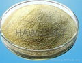 food grade sodium alginate