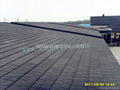 Stone Coated Metal Roofing Tile--Shingle 4