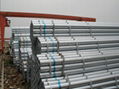 Galvanized Steel Pipe 3