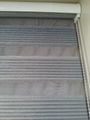 latest products daul shade zebra blinds and fabric   1