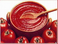 tomato paste