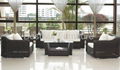 Rattan Sofa BW-1638