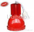 30W Pendant LED Fresh Light for