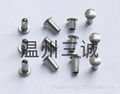 異型焊釘非標準緊固件溫州三誠定做批發價