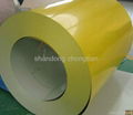 Prepainted Galvanized Steel Coil(PPGI) 1