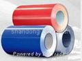 Prepainted Galvalume Steel Coils 1