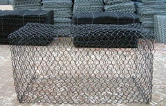 Gabion Mesh