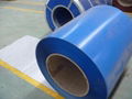 prepainted galvanized steel coil