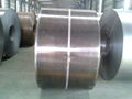 hot dipped galvanized steel coil