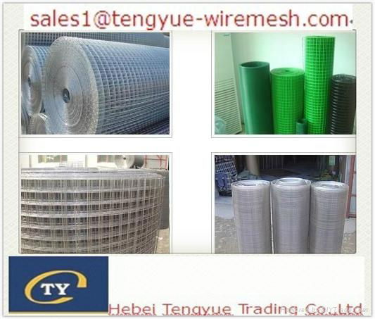 Welded Wire Mesh