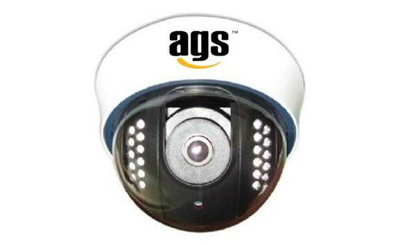 PAL/NTSC IR Dome CCTV Camera 