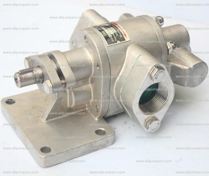 Electric Gear Oil Pump For Diesel And Gasoline Transfer With Rotary Gear Pump 2