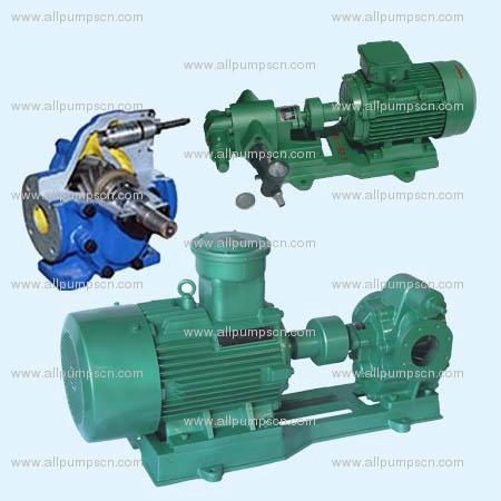 Electric Gear Oil Pump For Diesel And Gasoline Transfer With Rotary Gear Pump 3
