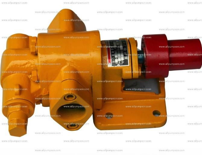 Electric Gear Oil Pump For Diesel And Gasoline Transfer With Rotary Gear Pump 4